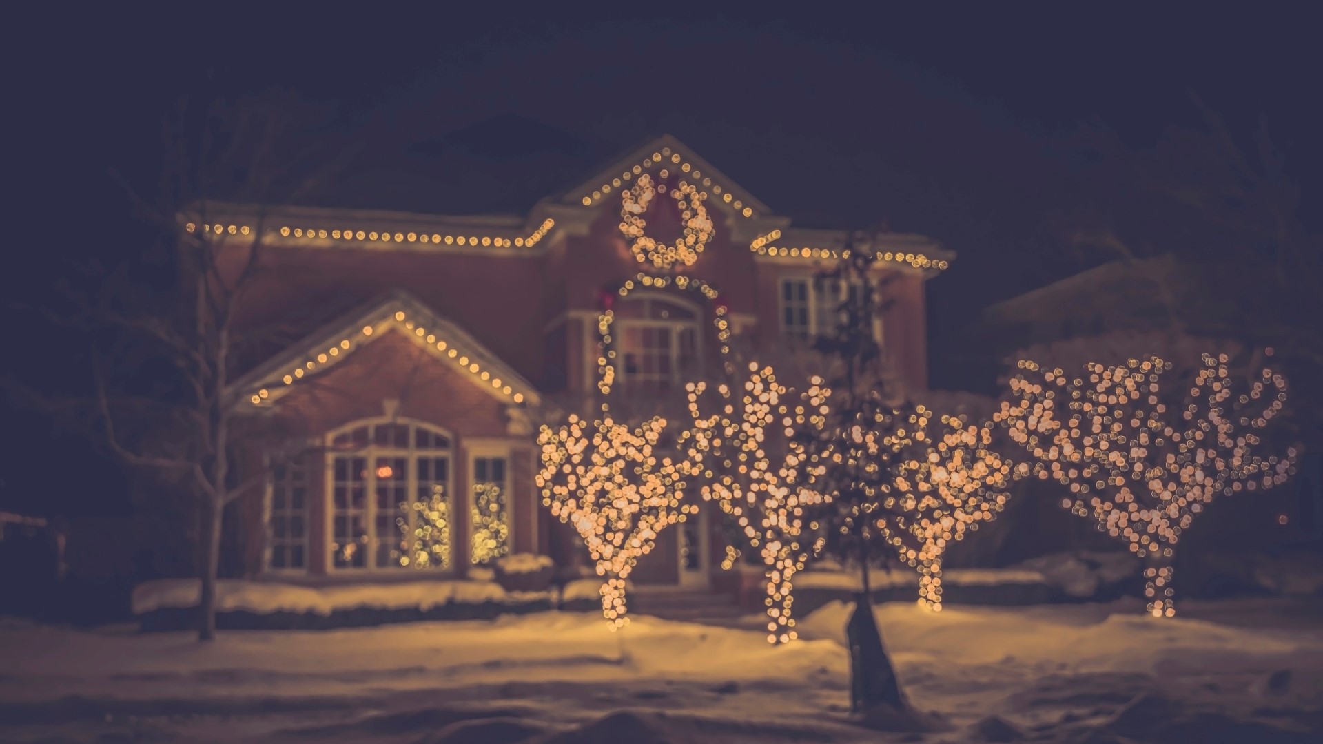 Christmas lighting image